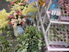 -KKV(上海月星环球港店)