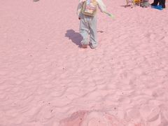 -东方体育中心(地铁站)