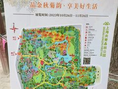 -上海共青森林公园