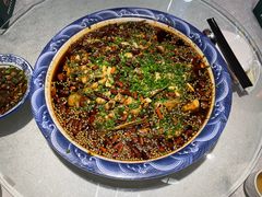 -新概念来凤鱼(璧山店)