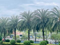 -府河摄影公园