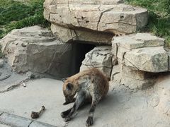 -北京野生动物园