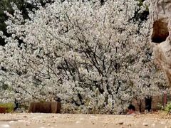 -同济大学(嘉定校区)