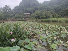 -五泄景区