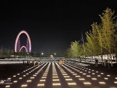 -南京眼步行桥