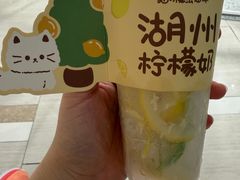 -猫的魔法密林(衣裳街店)