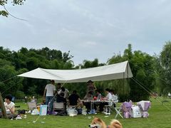 -桤木河湿地公园