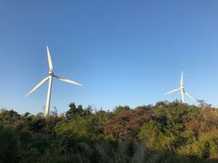 -东澳岛