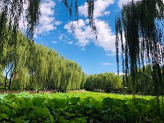 -东升八家郊野公园