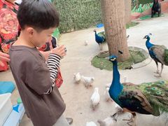 -史努比缤纷世界