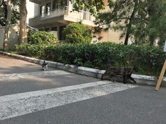 -南郊宾馆·风味自助餐厅·山东十六地市特色菜