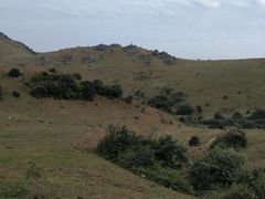 -大姆山草场