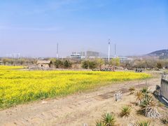 -西海岸生态观光园