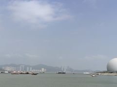 -野狸岛