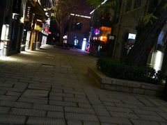 -绿地·中山里