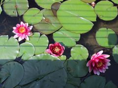 -昆山城市生态森林公园