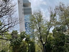 -九龙公园