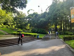 -晓港公园