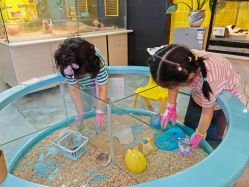 -神奇动物撸宠馆·羊驼·小浣熊·异宠(豫园店)