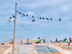 -尼甘布海鲜市场