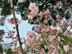 -求水山公园