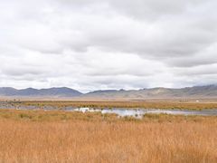 -花湖生态旅游区