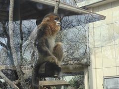 -合肥野生动物园