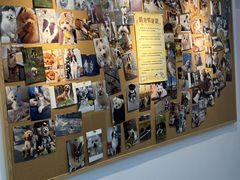 -翊宠yipet猫狗购宠庄园犬舍•猫舍