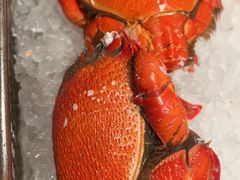 -菲住布渴酒店自助餐厅(阿里巴巴西溪园区店)