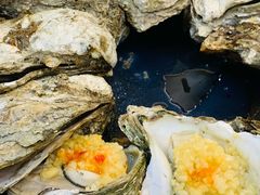 -喜哥湛江生蚝餐厅(沿江中路店)