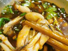 -鸿顺老铁锅美蛙鱼府(解放碑店)
