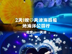 -海合安天津极地海洋公园