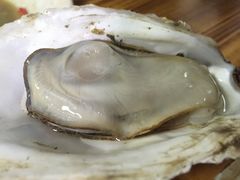 -大富蚝乌东哥饭店·石锅鱼杂·柠檬鸭(革新路店)