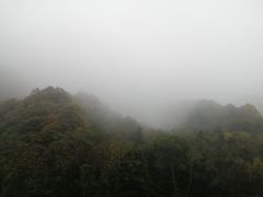 -秦岭风景区
