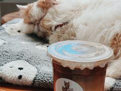 -Cappucimeow猫咪咖啡馆(韦伯时代店)