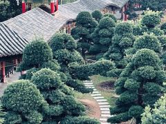 -华雅花园大酒店