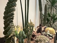 -J Create城市露营咖啡·简餐·宠物(上海动物园店)