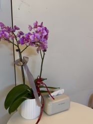 -苑苑vbeauty科技美容SPA