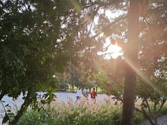 -汉长安城未央宫国家考古遗址公园