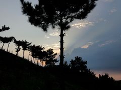 -木兰云雾山