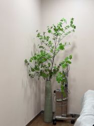 -上海首尔丽格医疗美容医院