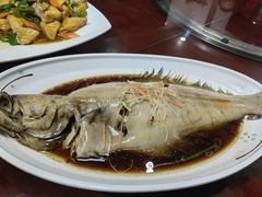 清蒸海蝶鱼-福星饭店(北新胡同店)
