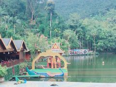 -西双版纳原始森林公园