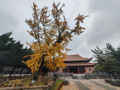 -苏州文庙(姑苏区)