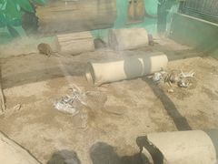 -秦皇岛野生动物园