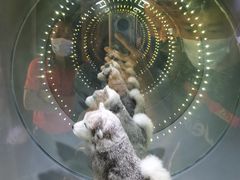 -广东科学中心