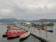 -金盆阿嬷香菇茶叶蛋(玄光店)