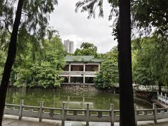-荔湾湖公园