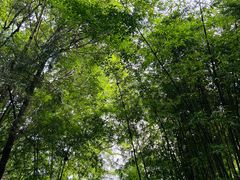 -剑门关风景区