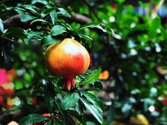 -南京金牛湖风景区